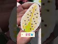 Unboxing the Most Beautiful Flower Ever