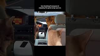 Car Music Trip #Short #Dj #Memes #Shortsvideo #Shorts #Housemusic #Techhouse #Viral #Viralvideo #Fyp