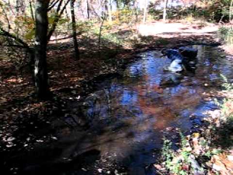 Jeremy Mudpit winching out.avi