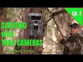 Scouting with trail cameras  tips and tricks