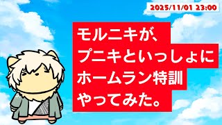 【????】ゲームしたくなったので枠立てました！  2025/11/01【乙凱モルフィ】