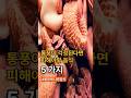 통풍에 나쁜음식 5가지 건강팍팍 건강지킴이 #건강 #건강정보 #건강식단 #통풍