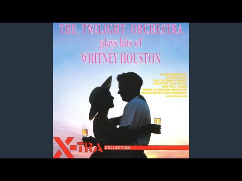 The Twilight Orchestra — One Moment In Time