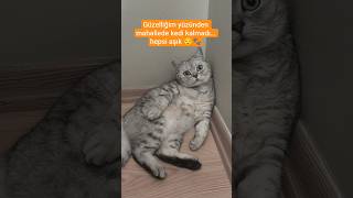 Güzel Olmak Suç Mu ? Şfetbeniöneçıkar