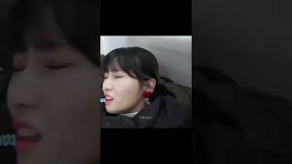 Twice Momo
