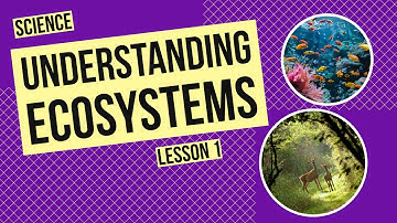 Understanding Ecosystems: A Network of Life