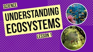 Understanding Ecosystems: A Network of Life