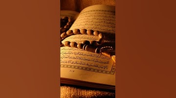 سورة الإخلاص #قرآن #قران_كريم #قرآن_كريم #تلاوات #تلاوة_خاشعة #تلاوة_هادئة