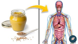 Senf Hat Mehr Gesundheitliche Vorteile, Als Du Vielleicht Denkst