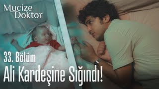 Ali kardeşine sığındı! - Mucize Doktor 33. Bölüm