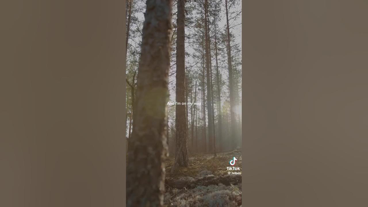 On My Way Song - Sabrina Carpenter ft Alan Walkerš©·š„š #onmyway #songs #shorts On My Way Song - Sabrina Carpenter ft Alan Walkerš©·š„š #onmyway #songs #shorts