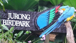 Jurong Bird Park, Singapore World tour series