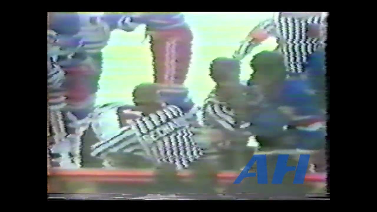 NHL Feb. 13, 1980 Chicago Blackhawks v New York Rangers (R) Ted Bulley v Carol Vadnais