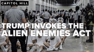 Celebrity Trump invokes Alien Enemies Act amid legal challenges Profile