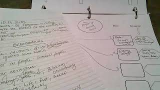 Cause and effect graphic organizer