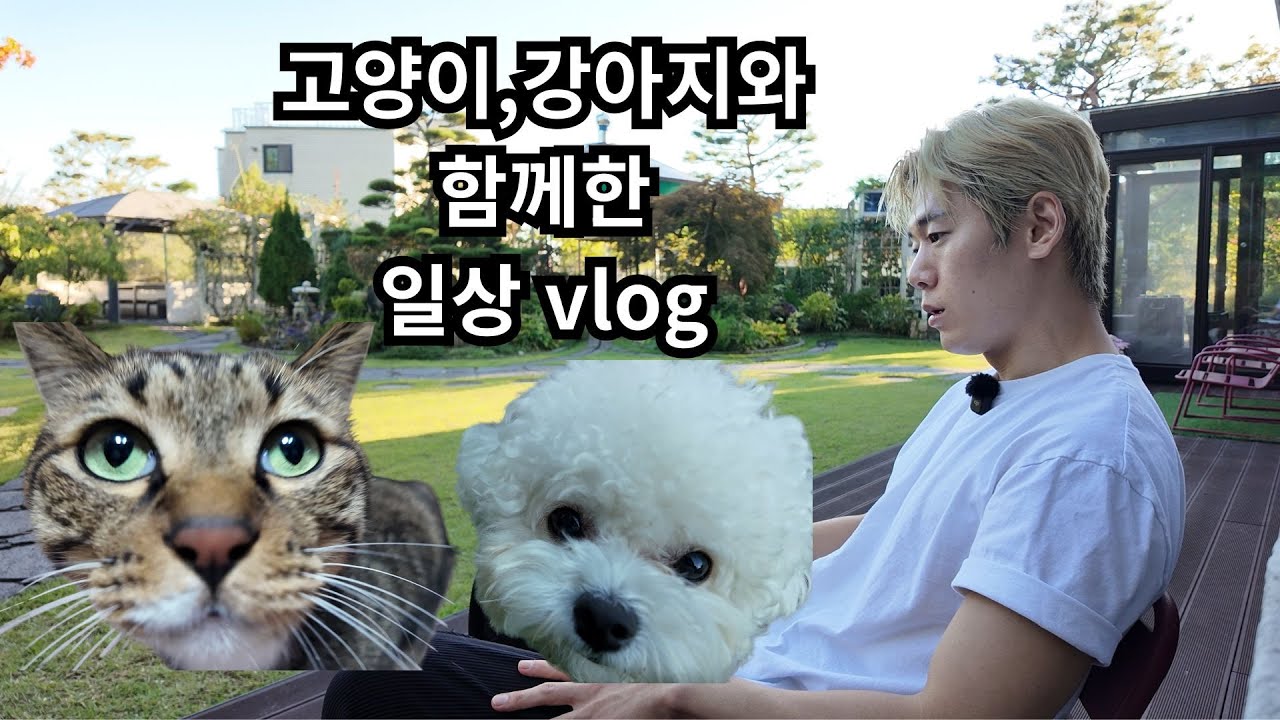 남자의 평범한 일상 브이로그