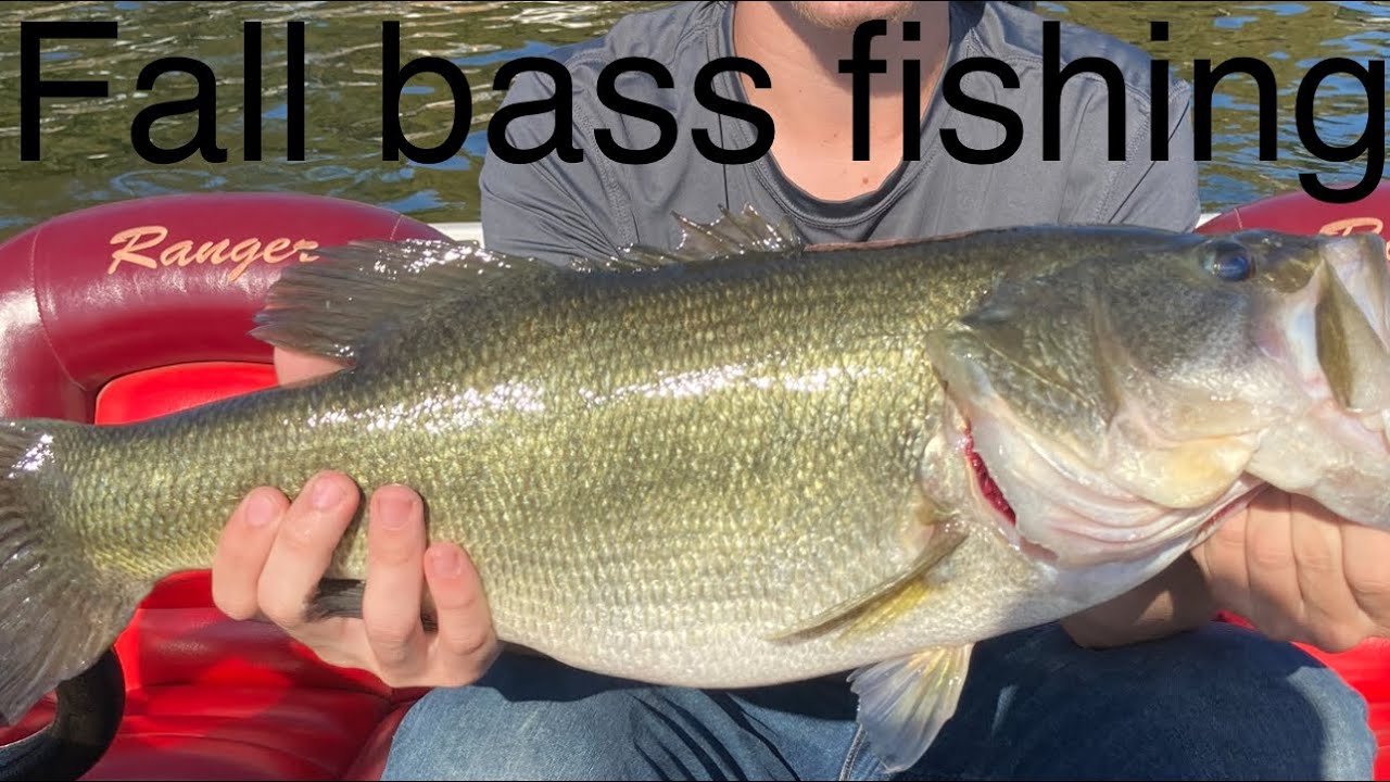 Fall bass fishing break down