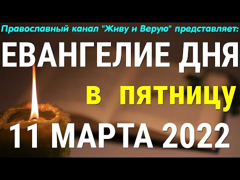 Евангелие дня. 11