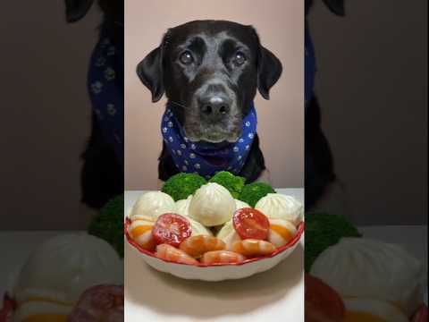 Fastest Puppy Eating Challenge Labrador Vs Eggs Chicken dogeatingfood blacklab petshub