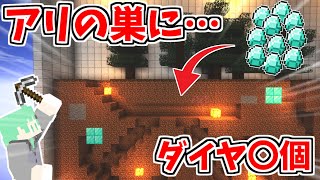 アリの巣にダイヤモンド隠して観察してみたｗｗｗｗ【マイクラ】