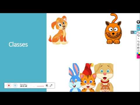 OOP Java Classes and Objects  Practical4 Part 1