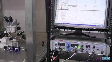 ULLresearch: The spark of life: ionic channels and neuronal electricity