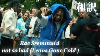 【和訳】Rae Sremmurd - not so bad (Leans Gone Cold )