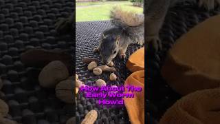 Nervous Nick Asks the Question Nobody Dares To