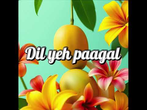 Dil Yeh Paagal Romantic Love Song 2025 Song DilYehPaagal LoveSong RomanticSong HindiLoveSong