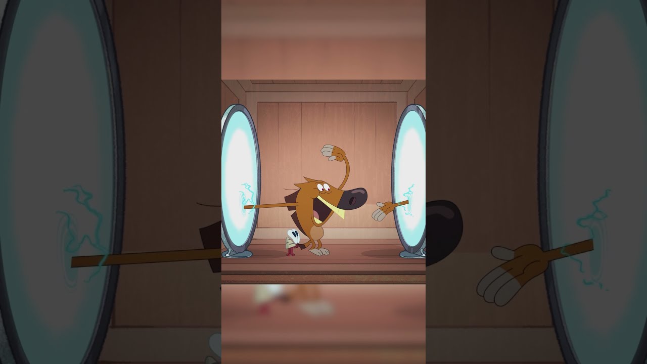  Shorts Zig Sharko MAGIC PORTAL