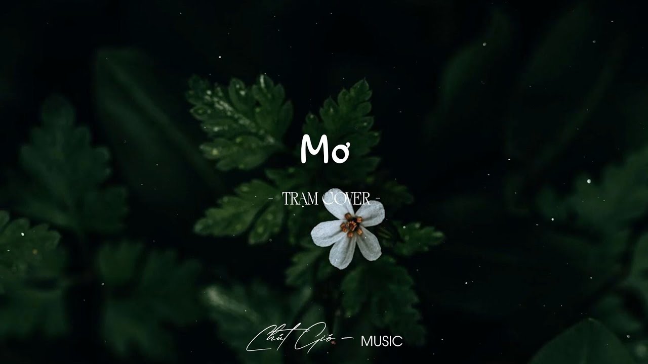 Top 25 Bản Hits Nhạc Trẻ Triệu View Acoustic Cover Nhẹ Nhàng Thư Giãn - Full Playlist Nhạc Cực Chill