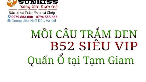 Quấn ổ Trắm Đen tại Tạm Giam với #B52 SIÊU VIP
