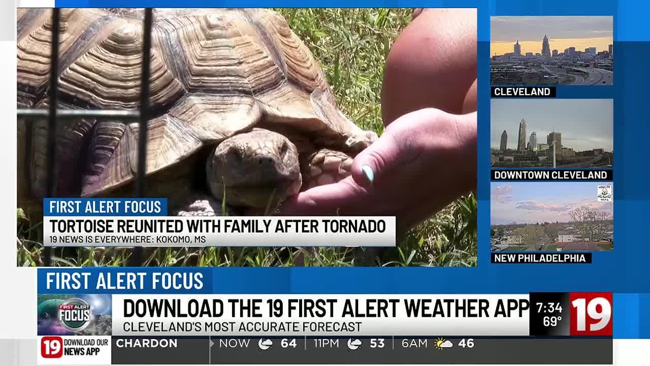 Wild Weather Tortoise reunites with family after tornado YouTube