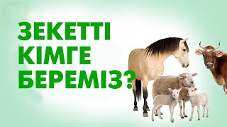 Зекет беру шарттары by Talim TV online 1,263 views 2 weeks ago 6 minutes, 41 seconds