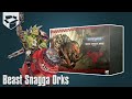 Распаковка - Beast Snagga Orks