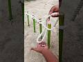 Constrictor Knot Tutorial in Just Seconds!