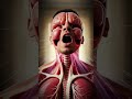 What REALLY Happens: When You Yawn#biology