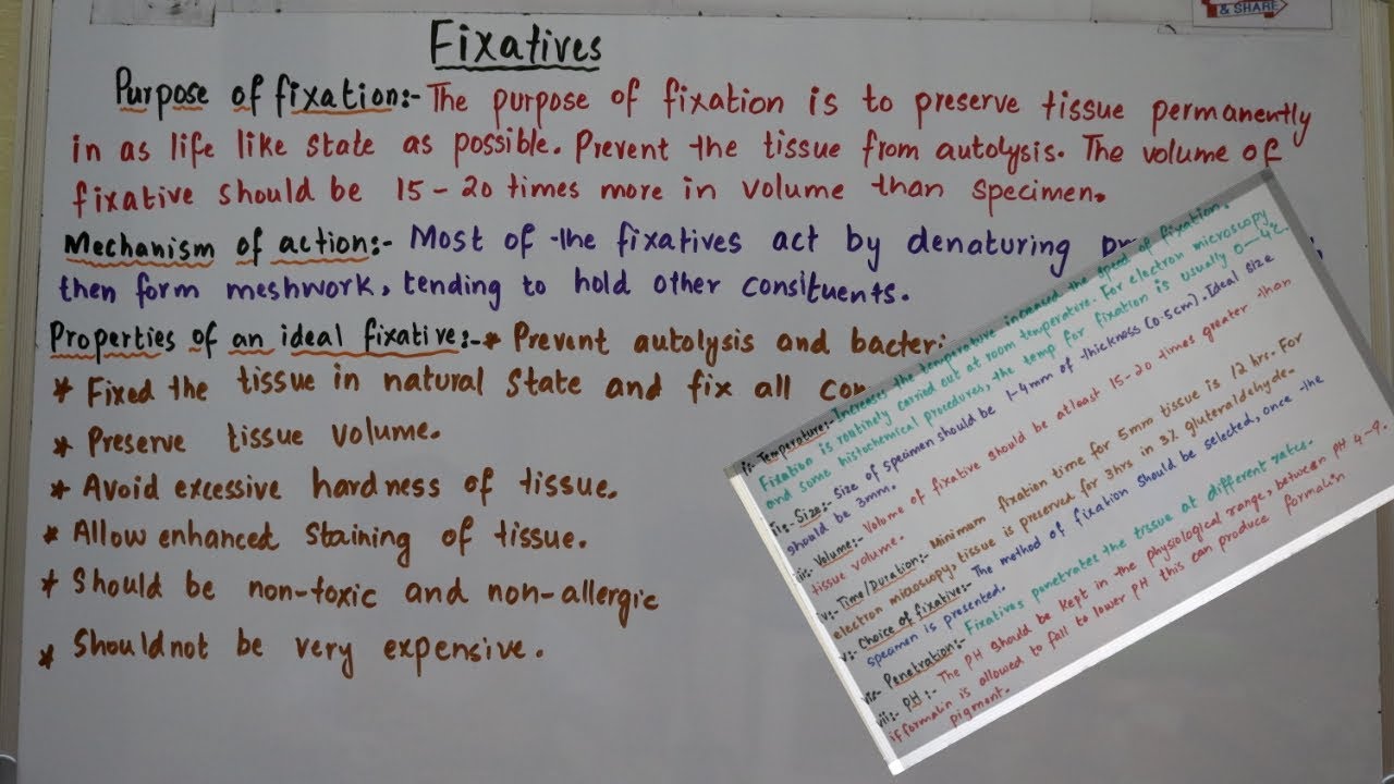 What is Fixation?Types fixatives factors affecting fixation.an easy way to understand YouTube