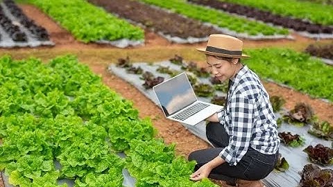 Innovative Green Farming Technologies - Sustainable Agriculture for the Future (20 Minutes)