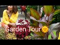Amazing Tropical Garden Tour In July🌞