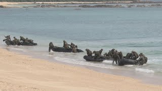 陸自と米軍が実動訓練 沖縄、中国にらみ連携誇示