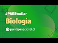 #PAES | Biología | Ejercicios: Función celular