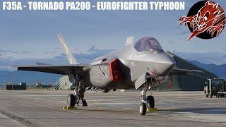 F35A  TORNADO  EUROFIGHTER   100+1 OPEN DAY 6° STORMO AEROPORTO MILITARE LUIGI OLIVARI GHEDI