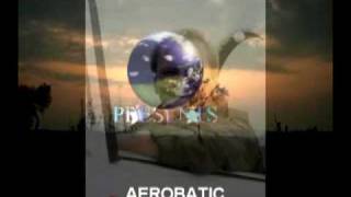 Oleg Botvin Pilot From Estonia I Like Sky