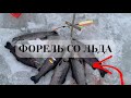 Ловля Форели со льда/Съемки подводной камерой/Рыбалка в Юрлово