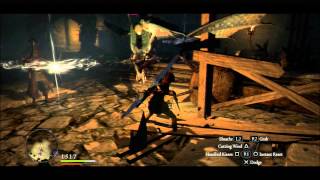 Dragons Dogma Dark Arisen Episode 42 No Damage