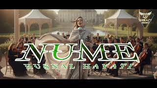Lagu Gayo Nume Husnal Hayati cover Ai Shirazy 