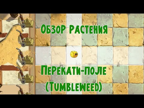 Обзор Перекати-поле (Tumbleweed), растение из Plants vs Zombies 2