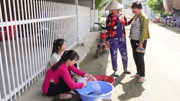 Thăm Lợp Có Cá Lóc Cá Rô Phi Hai Chị Em đem bán cho Bà Con | HQ #1741