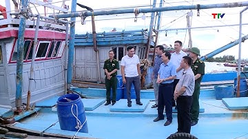 Chuyển biến tích cực trong chống khai thác IUU| NSTH